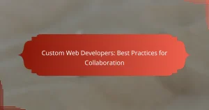 Sviluppatori Web Personalizzati: Best Practices per la Collaborazione