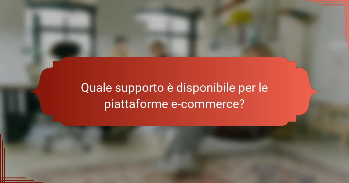 Quale supporto è disponibile per le piattaforme e-commerce?
